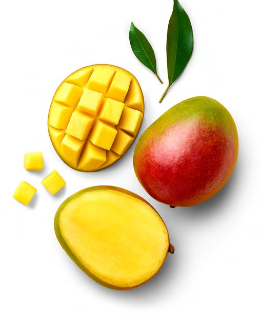 Mango zralé, Nová sklizeň kus