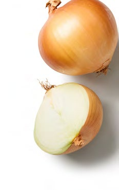 Cibule žlutá